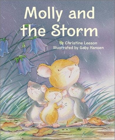Cover of Molly and the storm by Christine Leeson