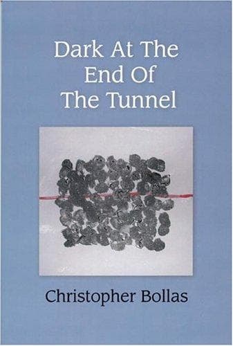 Cover of Dark At The End Of The Tunnel by Christopher Bollas