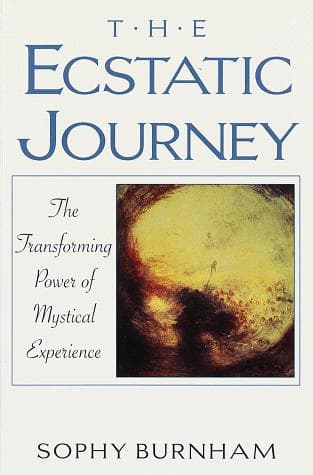 Cover of The ecstatic journey by Sophy Burnham