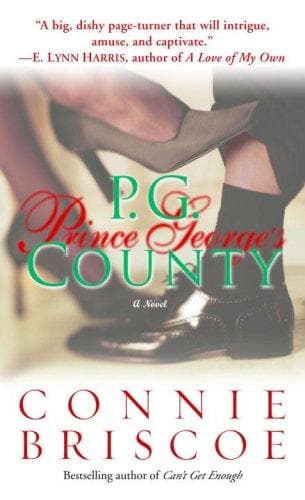 Cover of P.G. County by Connie Briscoe