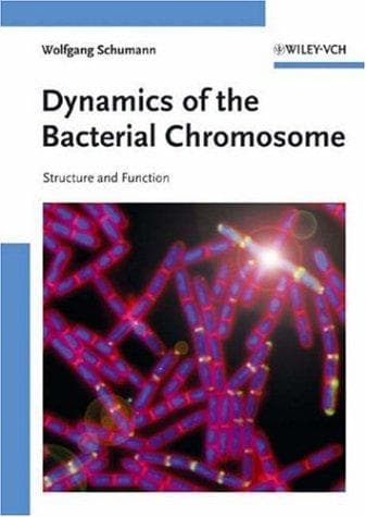 Cover of Dynamics of the bacterial chromosome by Wolfgang Schumann