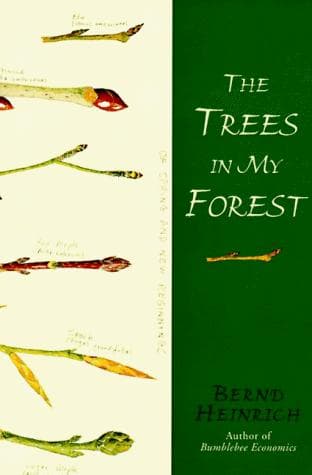 Cover of The trees in my forest by Bernd Heinrich