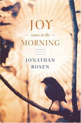 Cover of Joy comes in the morning by Jonathan Rosen