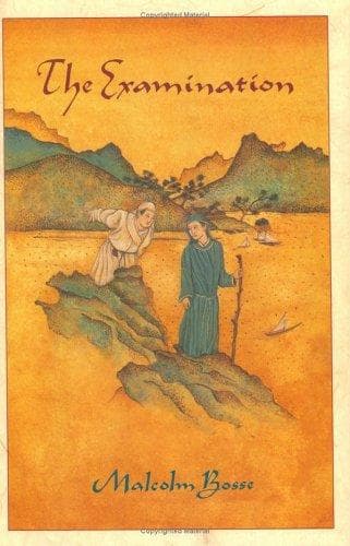 Cover of The examination by Malcolm Bosse