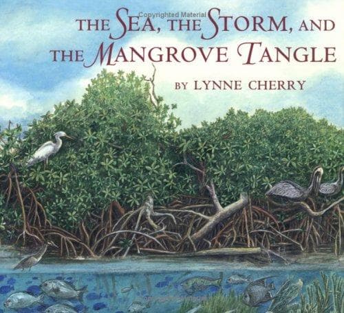 Cover of The sea, the storm, and the mangrove tangle by Lynne Cherry