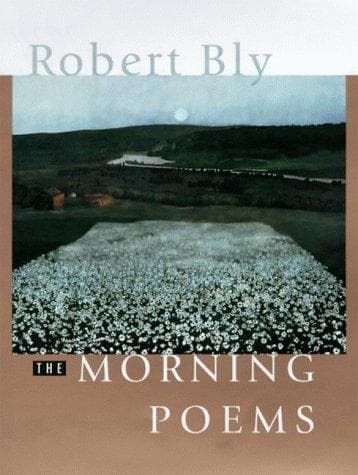 Cover of Morning poems by Robert Bly