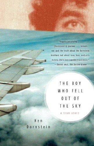 Cover of The boy who fell out of the sky by Ken Dornstein