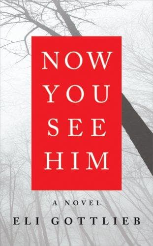 Cover of Now you see him by Eli Gottlieb