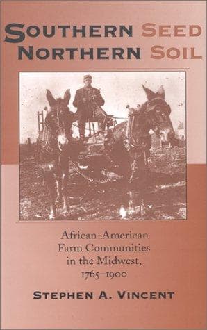 Cover of Southern Seed, Northern Soil by Stephen A. Vincent