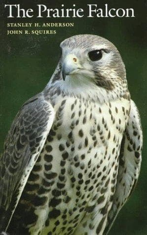 Cover of The prairie falcon by Stanley H. Anderson