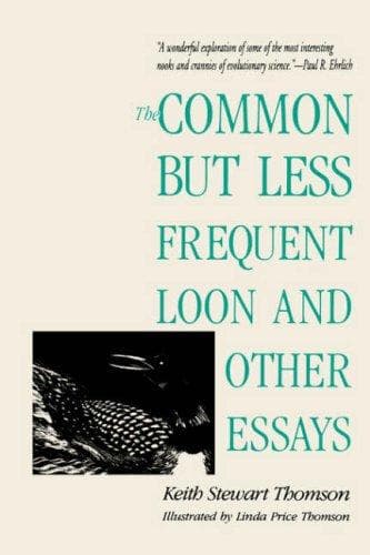 Cover of The common but less frequent loon and other essays by Keith Stewart Thomson