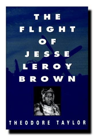 Cover of The flight of Jesse Leroy Brown by Taylor, Theodore