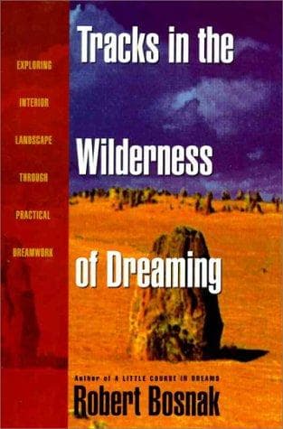 Cover of Tracks in the wilderness of dreaming by Robert Bosnak