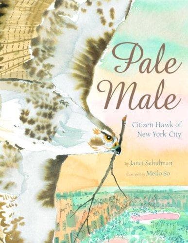 Cover of Pale Male by Janet Schulman