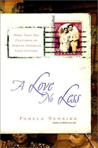 Cover of A Love No Less by Pamela Newkirk