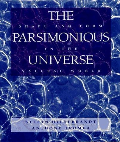 Cover of The parsimonious universe by Stefan Hildebrandt
