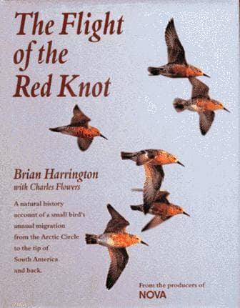 Cover of The flight of the red knot by Brian A. Harrington