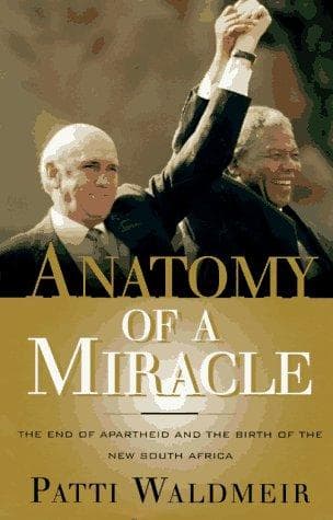 Cover of Anatomy of a miracle by Patti Waldmeir