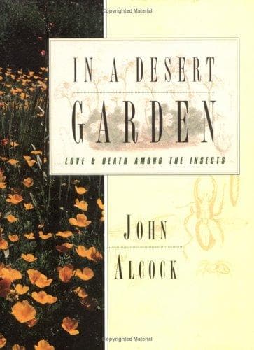 Cover of In a desert garden by John Alcock