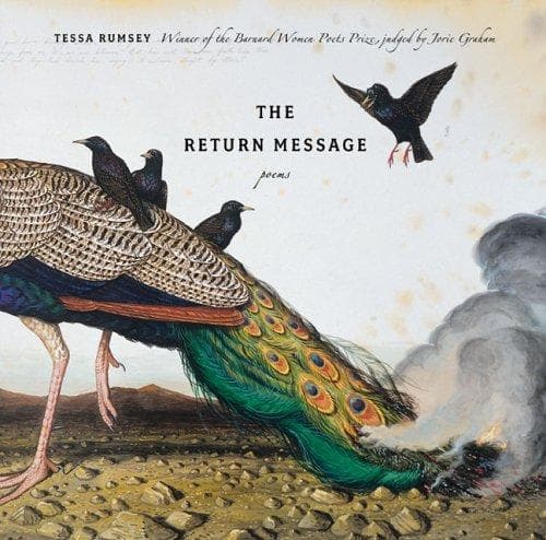 Cover of The Return Message by Tessa Rumsey