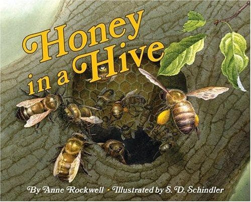 Cover of Honey in a Hive by Anne F. Rockwell