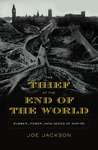 Cover of The Thief at the End of the World by Joe Jackson