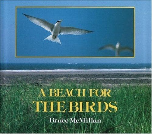 Cover of A beach for the birds by Bruce McMillan