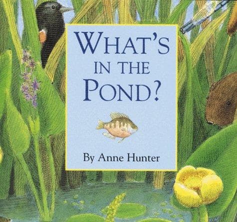 Cover of What's in the pond? by Anne Hunter
