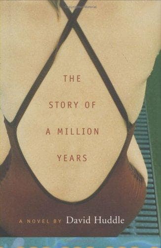 Cover of The story of a million years by David Huddle