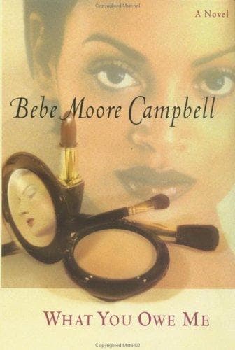 Cover of What you owe me by Bebe Moore Campbell