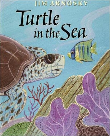 Cover of Turtle in the sea by Jim Arnosky