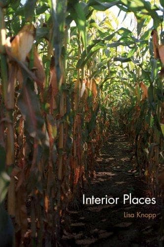 Cover of Interior places by Lisa Knopp
