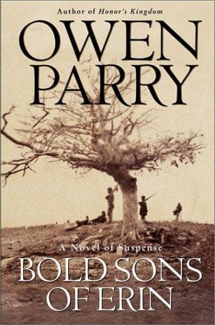Cover of The bold sons of Erin by Owen Parry