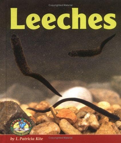 Cover of Leeches by L. Patricia Kite