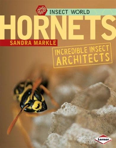 Cover of Hornets by Sandra Markle