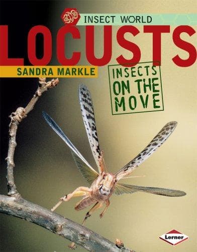 Cover of Locusts by Sandra Markle