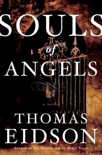 Cover of Souls of angels by Tom Eidson
