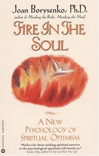 Cover of Fire in the soul by Joan Borysenko