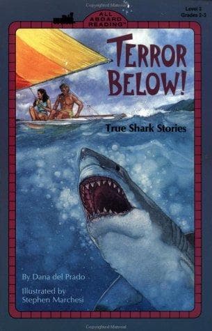 Cover of Terror Below by Dana Del Prado