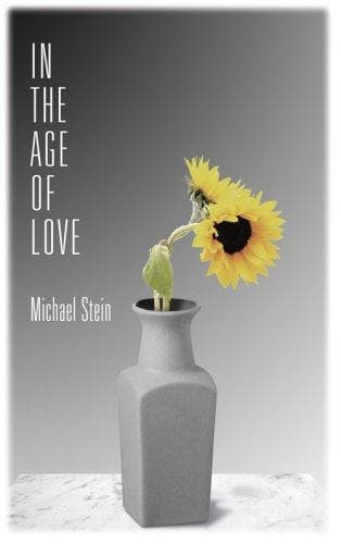 Cover of In the Age of Love by Michael Stein