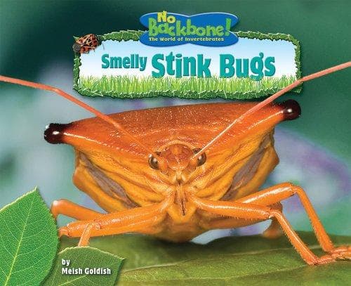 Cover of Smelly Stink Bugs (No Backbone! the World of Invertebrates) by Meish Goldish