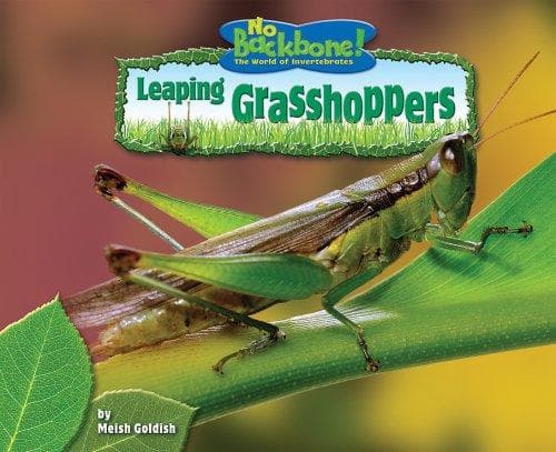 Cover of Leaping Grasshoppers (No Backbone! the World of Invertebrates) by Meish Goldish