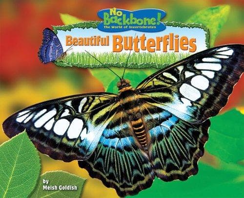 Cover of Beautiful Butterflies (No Backbone! the World of Invertebrates) by Meish Goldish
