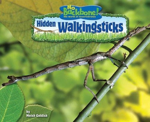 Cover of Hidden Walkingsticks (No Backbone! the World of Invertebrates) by Meish Goldish