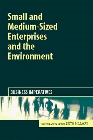 Cover of Small and Medium Sized Enterprises and the Environment by Ruth Hillary