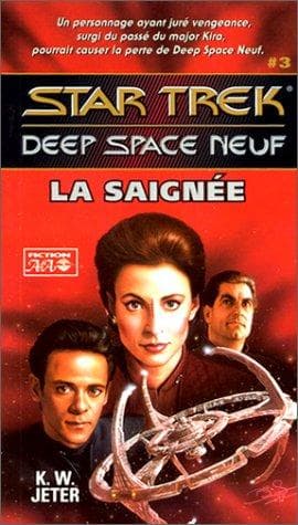 Cover of Star Trek Deep Space Nine - Bloodletter by K. W. Jeter