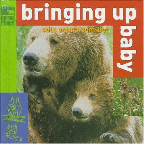 Cover of Bringing up baby by Kit Carlson