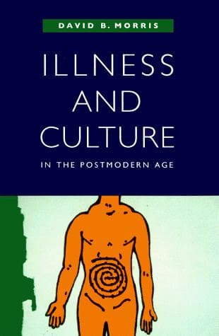 Cover of Illness and culture in the postmodern age by David B. Morris