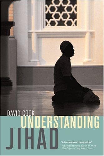 Cover of Understanding Jihad by David Cook