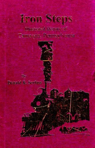 Cover of Iron Steps by Donald R. Serfass